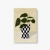 Monstera in Checker Vase