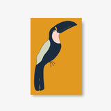 Toucan in Simplicity