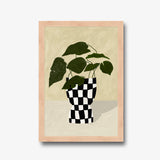 Monstera in Checker Vase