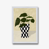 Monstera in Checker Vase